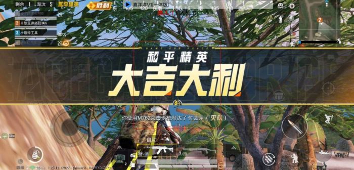 和平精英开挂软件 - 自带透视锁头多重功能